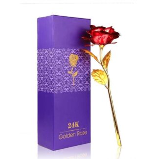 Valentine-Day-Red-Rose-0